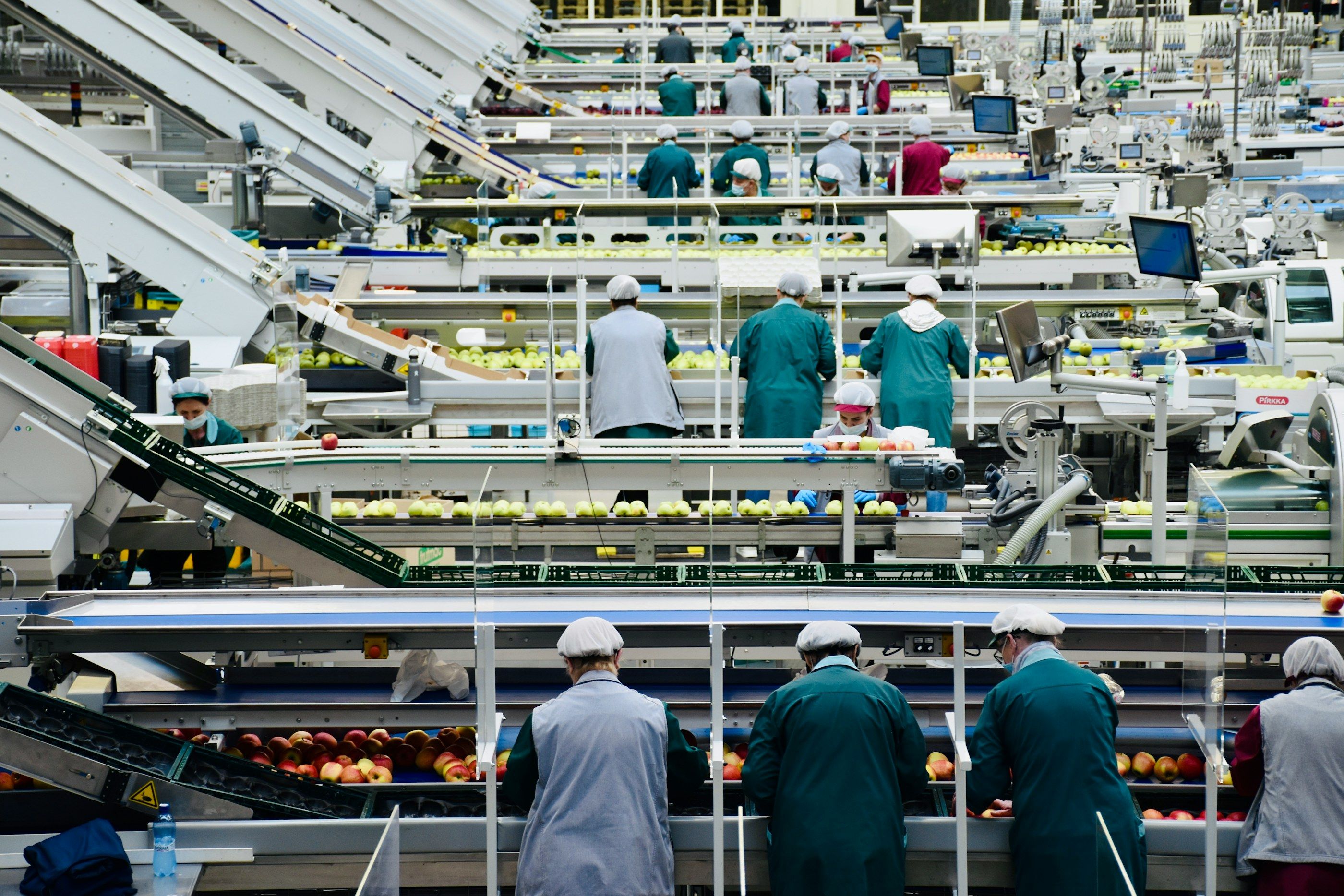 Une grande halle de conditionnement : des dizaines de salariés en blouse travaillent le long de lignes de tri.